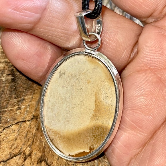 Owyhee Picture Jasper Pendant 2” - Picture 6 of 9